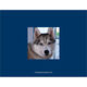 Navy Paw Print Pet Photo Sympathy Cards Image 2 of 3